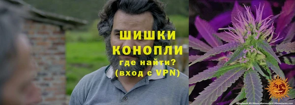 ГАЛЛЮЦИНОГЕННЫЕ ГРИБЫ Абинск
