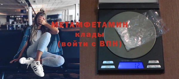 шишки Заволжск
