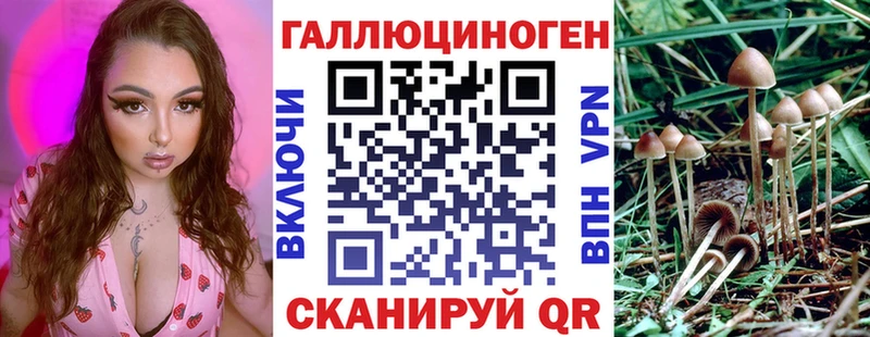 закладка  Братск  Галлюциногенные грибы мухоморы 