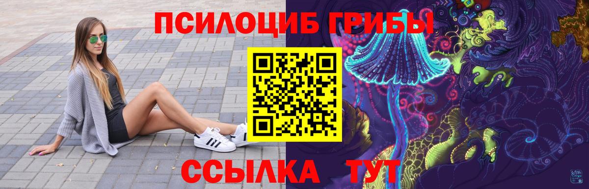 Братск  Псилоцибиновые грибы прущие грибы  Вход с VPN  Псилоцибиновые грибы GOLDEN TEACHER 