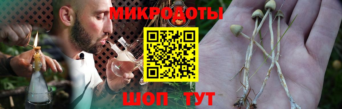 Галлюциногенные грибы мицелий Братск